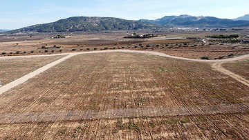 Terrain à bâtir près de Pinoso avec une vue imprenable, uniquement pour villa neuve