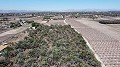 Land in Elche - Wederverkoop in Real Estate Alicante