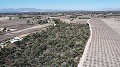 Land in Elche - Wederverkoop in Real Estate Alicante