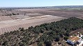 Land in Elche - Wederverkoop in Real Estate Alicante