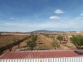 Villa moderne de 3 chambres à pied de la ville avec maisons d'hôtes in Real Estate Alicante