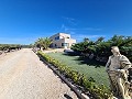 Atemberaubende 5-Bett-Villa mit Pool in Real Estate Alicante