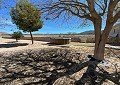 Mooie 140 jaar oude boerderij in Salinas in Real Estate Alicante