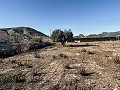 Geräumige Villa mit toller Aussicht und nur wenige Gehminuten von La Romana entfernt in Real Estate Alicante