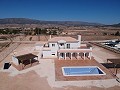 Beautiful new villa for sale in Pinoso in Real Estate Alicante