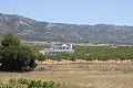 Beautiful new villa for sale in Pinoso in Real Estate Alicante