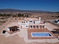 Beautiful new villa for sale in Pinoso in Real Estate Alicante