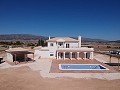 Beautiful new villa for sale in Pinoso in Real Estate Alicante