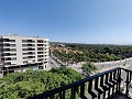 Apartment in Elche in Real Estate Alicante