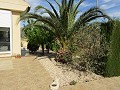 Immaculée Villa de 4/5 chambres avec piscine privée à La Romana in Real Estate Alicante