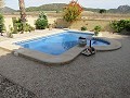 Immaculée Villa de 4/5 chambres avec piscine privée à La Romana in Real Estate Alicante
