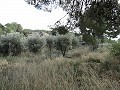 Villa de 4 chambres avec potentiel pour une maison supplémentaire ou des appartements séparés in Real Estate Alicante