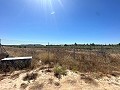Long terrain à bâtir de 10 000 m² à Pinoso in Real Estate Alicante