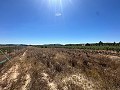 Long terrain à bâtir de 10 000 m² à Pinoso in Real Estate Alicante
