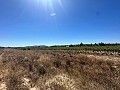 Long terrain à bâtir de 10 000 m² à Pinoso in Real Estate Alicante