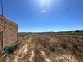 Long terrain à bâtir de 10 000 m² à Pinoso in Real Estate Alicante