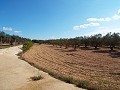 Groot landhuis, op loopafstand van de stad in Real Estate Alicante