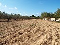 Groot landhuis, op loopafstand van de stad in Real Estate Alicante