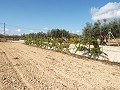 Groot landhuis, op loopafstand van de stad in Real Estate Alicante