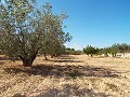 Groot landhuis, op loopafstand van de stad in Real Estate Alicante