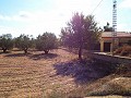 Groot landhuis, op loopafstand van de stad in Real Estate Alicante