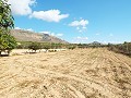 Groot landhuis, op loopafstand van de stad in Real Estate Alicante