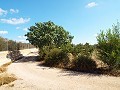 Groot landhuis, op loopafstand van de stad in Real Estate Alicante