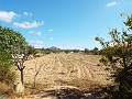 Groot landhuis, op loopafstand van de stad in Real Estate Alicante