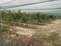 Grundstück in der Nähe von Alenda Golf in Real Estate Alicante