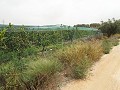 Grundstück in der Nähe von Alenda Golf in Real Estate Alicante