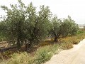 Grundstück in der Nähe von Alenda Golf in Real Estate Alicante