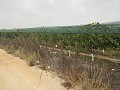 Grundstück in der Nähe von Alenda Golf in Real Estate Alicante