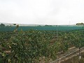 Baugrundstück in der Nähe von Alenda Golf in Real Estate Alicante