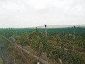 Baugrundstück in der Nähe von Alenda Golf in Real Estate Alicante