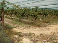 Baugrundstück in der Nähe von Alenda Golf in Real Estate Alicante