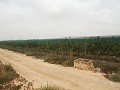 Baugrundstück in der Nähe von Alenda Golf in Real Estate Alicante