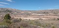 Terrain De 10.012m² En Position Surélevée in Real Estate Alicante