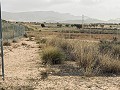 Grundstück zum Verkauf in Torre del Rico in Real Estate Alicante