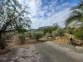 Lovely 2 Bedroom Country house in La Romana in Real Estate Alicante