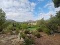Lovely 2 Bedroom Country house in La Romana in Real Estate Alicante