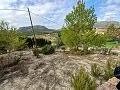 Lovely 2 Bedroom Country house in La Romana in Real Estate Alicante