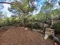 Lovely 2 Bedroom Country house in La Romana in Real Estate Alicante
