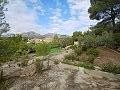 Lovely 2 Bedroom Country house in La Romana in Real Estate Alicante