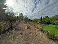 Lovely 2 Bedroom Country house in La Romana in Real Estate Alicante