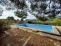 Lovely 2 Bedroom Country house in La Romana in Real Estate Alicante