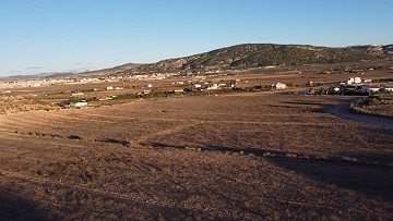 Building plots close to town, in Pinoso
