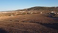 Building plots close to town, in Pinoso in Real Estate Alicante