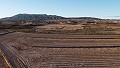 Building plots close to town, in Pinoso in Real Estate Alicante