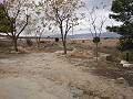 3 Bed Country House with Garage in Real Estate Alicante