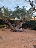  Villa in Monovar with Huge Underbuild in Real Estate Alicante